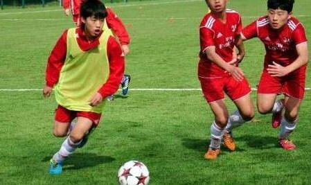  法国足协推行青少年球员培养新方案  