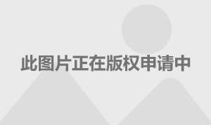  斯特拉斯堡主帅赛后炮轰裁判，恐遭禁赛处罚  